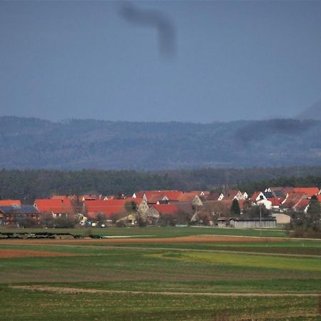 Ferien-Messe-Handwerkerwohnung-Haustiere Willkommen Lauf an der Pegnitz Ngoại thất bức ảnh