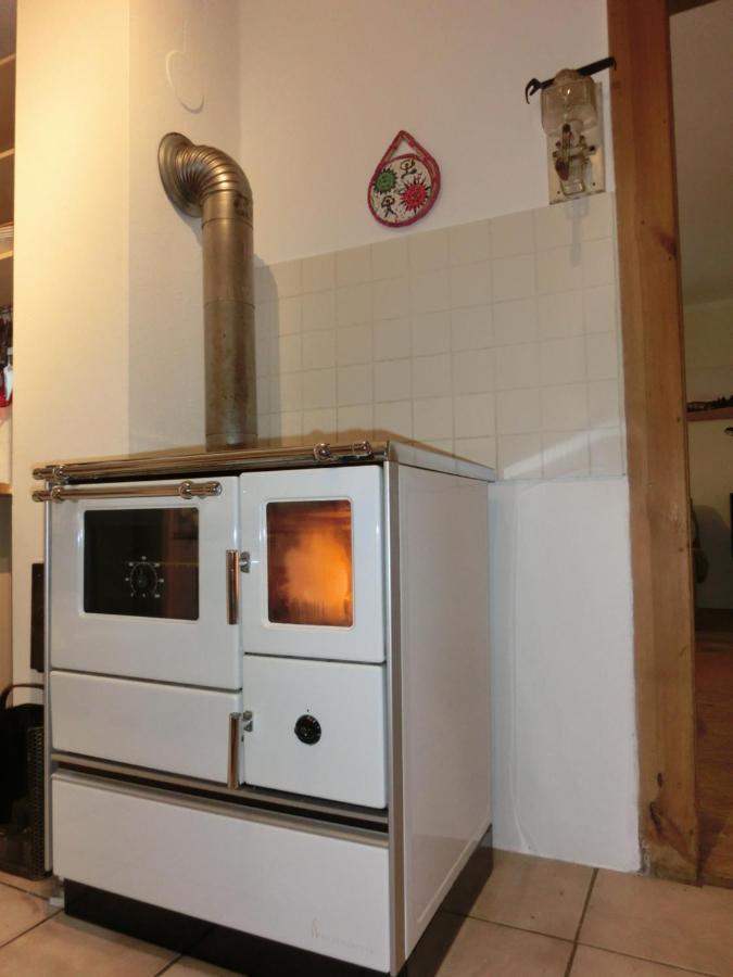 Ferien-Messe-Handwerkerwohnung-Haustiere Willkommen Lauf an der Pegnitz Ngoại thất bức ảnh